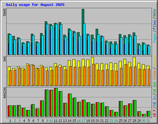 Daily usage for August 2025