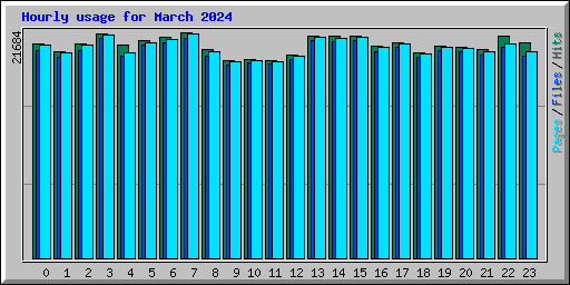 Hourly usage for March 2024