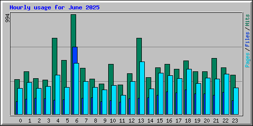 Hourly usage for June 2025