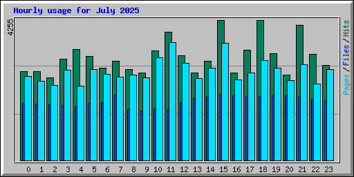 Hourly usage for July 2025