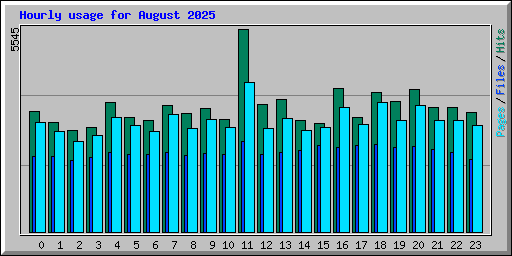 Hourly usage for August 2025