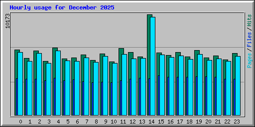 Hourly usage for December 2025