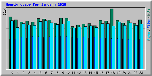 Hourly usage for January 2026